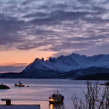 Loftsleilighet Midt I Sentrum Skjervoy Exteriér fotografie