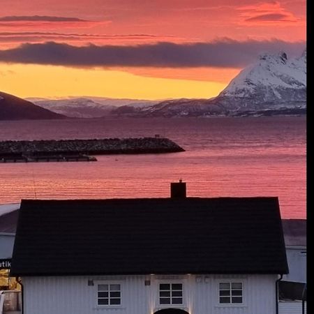 Loftsleilighet Midt I Sentrum Skjervoy Exteriér fotografie