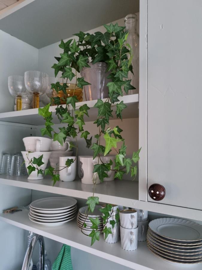 Loftsleilighet Midt I Sentrum Skjervoy Exteriér fotografie