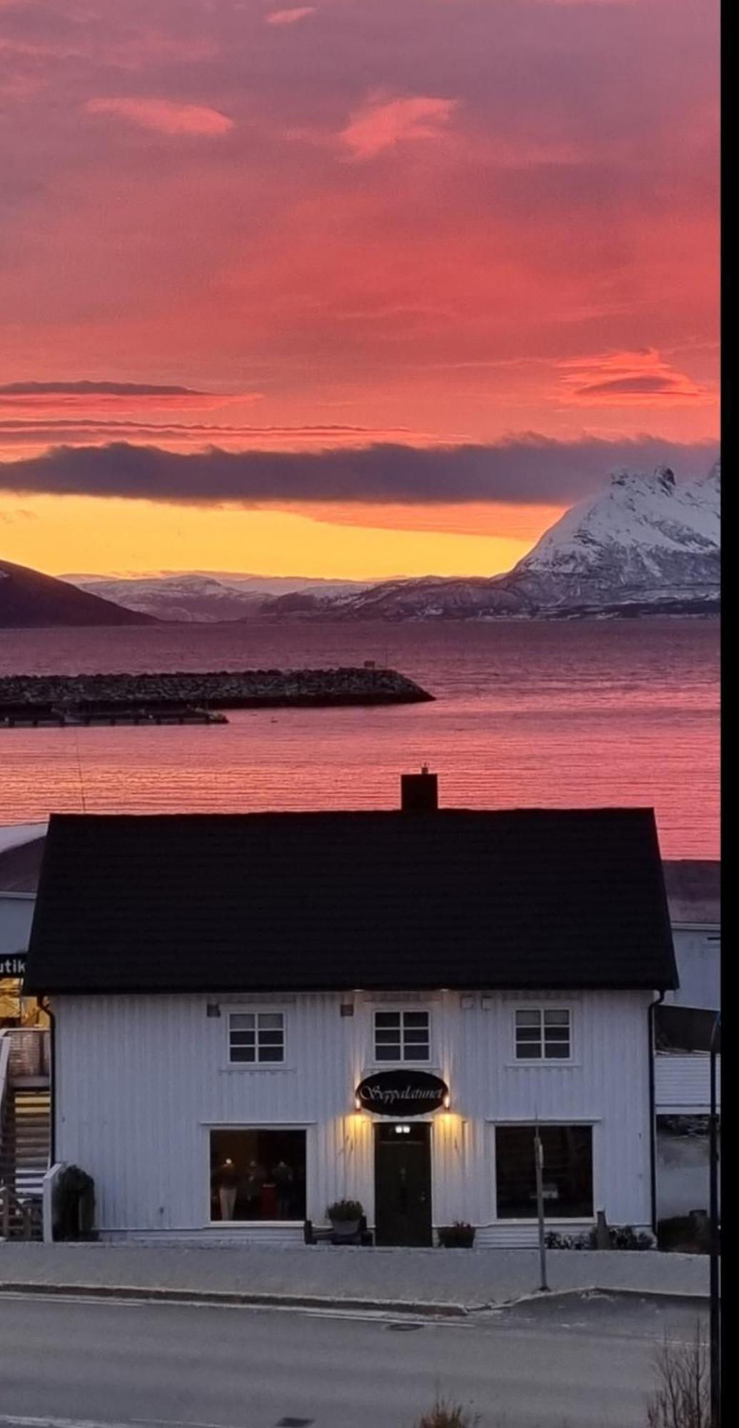 Loftsleilighet Midt I Sentrum Skjervoy Exteriér fotografie